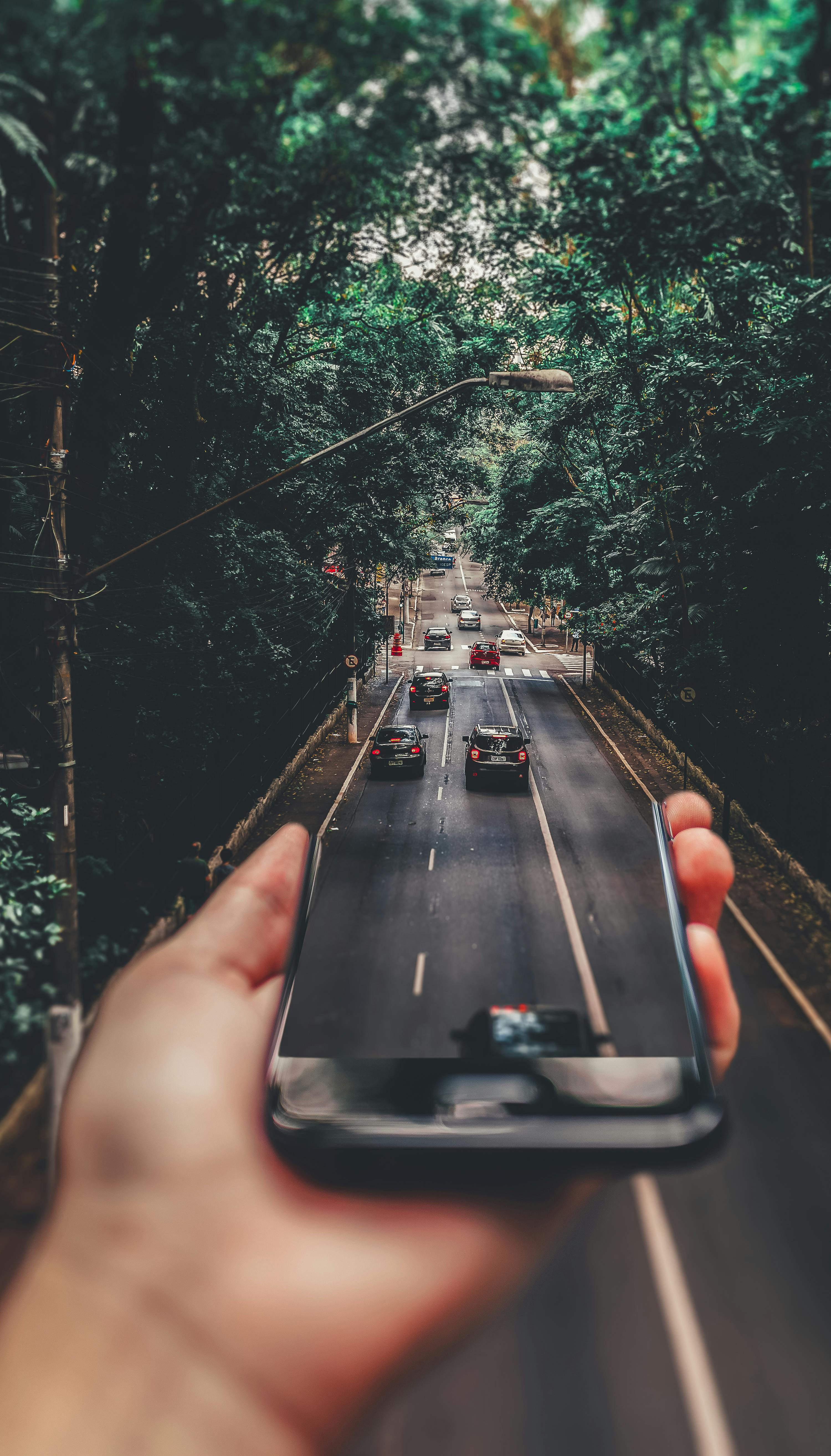 Áreas estratégicas del Observatorio